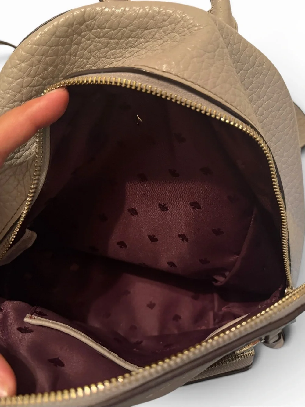 Kate Spade Caden Carter soft taupe Pebbled Leather Mini backpack